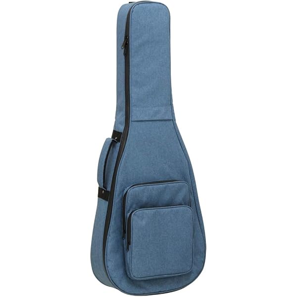 Amazon.co.jp: ARIA ABC-300AG TQS ターコイズ ギグバッグ