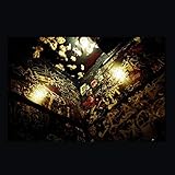 HIGHLY RARE [LP] (OBI STRIP, DOME PATTERN LP) [Analog]