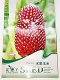 【珍しい品種 変わり種 黒とうもろこし】