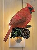 Cardinal Night Light [並行輸入品]