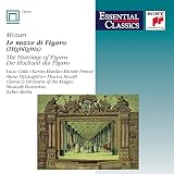 Marriage of Figaro-Highlights