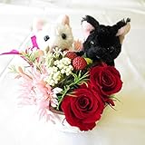 誕生日プレゼント 花 プリザーブドフラワー バラ と造花のアレンジメント ネコのペアー 猫 サンモクスイ（商標登録第5497927号）の手作りフラワーアレンジメント