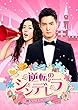 逆転のシンデレラ~彼女はキレイだった~ DVD-SET3