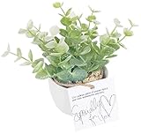 Parfait 大人のインテリアフェイクグリーン 光触媒 ユーカリ ホワイトグリーン