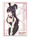 ブシロードスリーブコレクション ハイグレード Vol.2156 冴えない彼女の育てかた『霞ヶ丘詩羽』