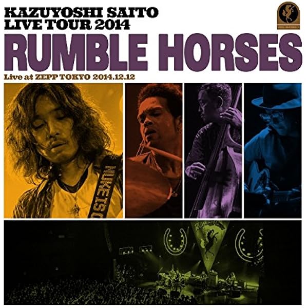 新品未開封★斉藤和義/斉藤\\"弾き語り\ライブツアー2009>>2010 十二月 KAZUYOSHI SAITO OFFICIAL WEB SITE