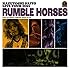 斉藤和義「KAZUYOSHI SAITO LIVE TOUR 2014 "RUMBLE HORSES" Live at ZEPP TOKYO 2014.12.12(CD通常盤)」