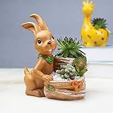 RaiFu 植木鉢　多肉植物　かわいい　ウサギ　樹脂　園芸　卓上　盆栽　オフィス　バルコニー　装飾　デコレーション スモール