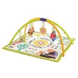 リッチェル Richell キンプロ プレイジム MR