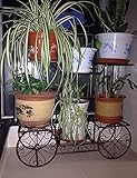 CHAOXIANG フラワーシェルフヨーロッパスタイルのアイロンフロア6棚フラワーポット屋内および屋外の植物棚 (色 : ブラス ぶらす, サイズ さいず : 79cm*25cm*67cm)