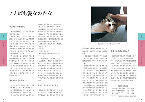 猫の風邪について ～人の風邪とは根本的に違うことを認識しよう 