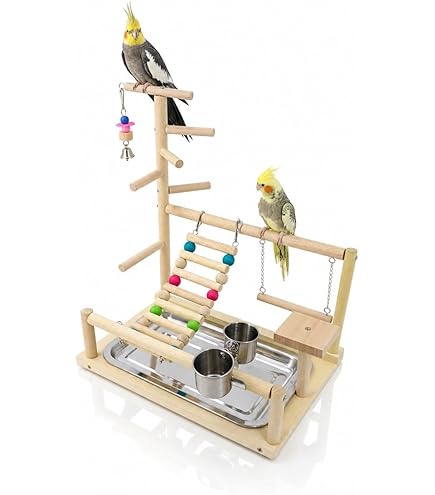 Amazon | UB-Lab. 鳥 おもちゃ 木製 フォージングトイ グッズ セキセイ