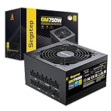 Segotep PC電源ユニット750W フルモジュラータイプ 80 Plus GOLD認証 ATX電源 高効率 140mmファン付き
