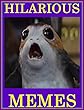 Hilarious Memes. Ultimate Collection Of Funny Memes And Jokes: A lot Of Star Wars And Dogs Memes (English Edition)