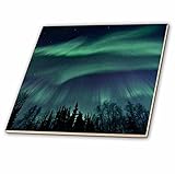 Sandy Mertensアラスカ – Northern Lights in Shade ofグリーンamongst aダークブルーNight Sky – タイル 12-Inch-Ceramic ct