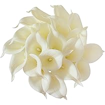 51HgubYbwCL._AC_UL210_SR210,