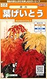 サカタのタネ 実咲花7454 葉げいとう 混合 00907454