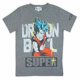 ドラゴンボール超 スーパー 孫悟空 ベジータ スーパーサイヤ人 ゴッド 半袖Tシャツ 子供用 コスパモデル fo-ht07 140 グレー