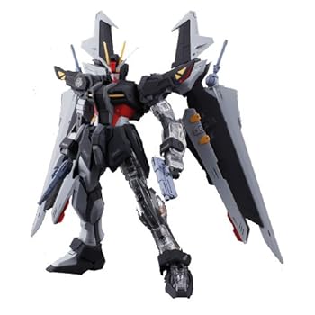 ストライクノワールガンダム(プラスクリア外装)