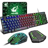 LexonTech x ZIYOU LANG T13ゲーミングキーボードマウスセット コンバーター マウスパッド付き LEDバックライトRGB 104キー日本語配列 (US配列) USBメンブレン式 有線キーボード マルチメディアキー 2400DPI調整でき 6つのボタンありマウス 日本語説明書付き (ブラック)