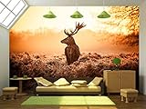wall26 – 自己粘着壁紙大壁壁画シリーズ 66"x96" WMR-WP-X-C396-66x24x4