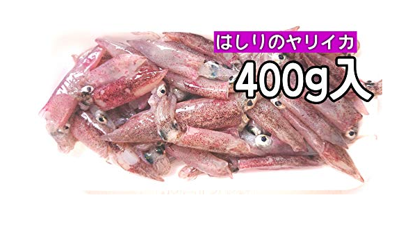 Amazon 産直丸魚 岩手洋野町産 はしりのヤリイカ 400ｇ入 さっとボイルしておいしい シーズン初めのヤリイカ イカ 槍いか やりいか 槍烏賊 洋野町種市のさかなや 産直丸魚 イカ 通販