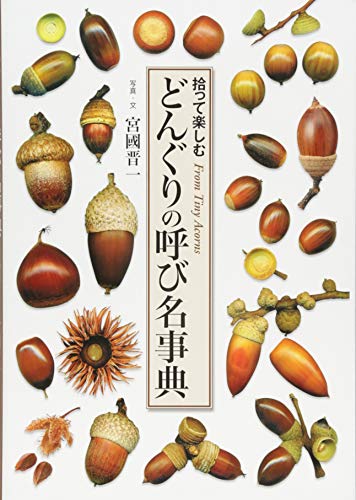 どんぐりの呼び名事典 拾って楽しむ