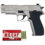 タナカワークス SIG P226 レイルド Evolution 2 ALL HW ワーム シルバー 発火式 モデルガン キャップ セット