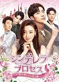 シンデレラ・プロセス～私を輝かせる恋と夢～ DVD-SET3