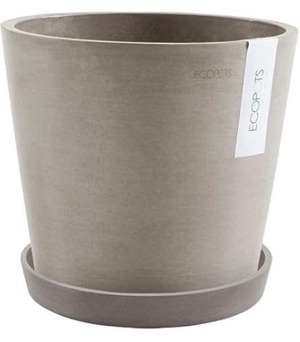 グリーンポット貿易部　モードライト キューブ 55cm EB-MC5555LG ヨドバシ.com - グリーンポット貿易部 モードライト キューブ 55cm EB