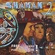 Shaman 2