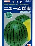 スイカ　　ニューこだま　タキイ交配　　（グリーンデポ）