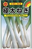 アタリヤ農園 ガーデニング用品 種 極太ねぎ