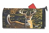 Whitetail Buck Fall Large Oversizedメールボックスカバー秋鹿Mailwraps