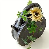 花瓶 一輪挿し おしゃれ 花器 和風 瀬戸焼 和陶器ベース 黒釉土瓶型 [mkn0819]
