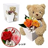 ぬいぐるみとお花のセットギフト（6色から選べるプリザ） (レッド)