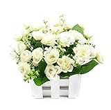 BEADY ミニダイヤーバラ 手作り 自社DIY 人工観葉植物 造花 光触媒加工 フェイクグリーン インテリア ギフト お祝い 白柵 (ホワイト)