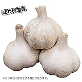 国華園　ニンニク種球 博多八片ニンニク種球 1kg【※発送が国華園からの場合のみ正規品です】