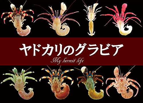 ヤドカリのグラビア　: My hermit life