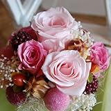 パラボッセオリジナル プリザーブドフラワー テラリウム ピンク 横幅12cmx12cmx高さ20cm preserved flowers