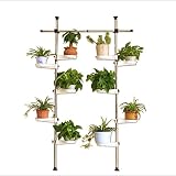 LIAN フラワースタンドリビングルームバルコニー吊り茶色植物工場スタンドシンプルな室内フラワーポットスタンド (色 : ステンレス鋼, サイズ さいず : ダブル)