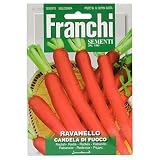 野菜の種 ラディッシュ CANDELA DI FUOCO 112/9