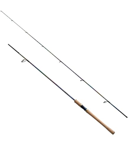 Amazon | エバーグリーン(EVERGREEN) インスピラーレ IRSC-63MHR-TG40X