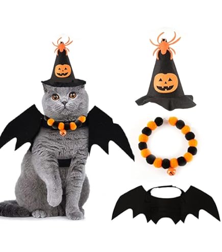 【新品・未使用品】CIRQUTURE 猫耳パール付きキャップ 黒 レディース ニット帽 猫耳帽子[品番：AGCW0000574]｜SUNSHINE