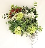 彩か SAIKA ウォールデコレーション Green Wall Décor ルージュリーフ 絵のように飾って光触媒機能で環境をクリーンにするインテリアグリーン CF-324