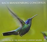 Bach, J.S.: Brandenburg Concer