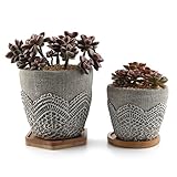 T4U セメント製 植木鉢 レースパターン ラウンド 小丸＆六角の竹製トレイ付き 2点入り