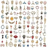[Renjzle] チャーム アクセサリーパーツ 100個セット ハンドメイド DIY ジュエリー製作 キーホルダー ペンダントトップ ネックレス イヤリング 材料 手作り クラフト 手作りアクセサリー