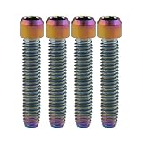 Ruifu チタン合金小頭六角穴付ボルトM4x10/13.5/15/20/25mm自転車用トランスミッター調整ボルト4本入 (M4x25mm, レインボー)