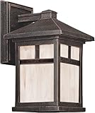 Forte Lighting 1773-01-28DS Exterior Wall Light with Honey Glass Shades, Painted Rust [並行輸入品]